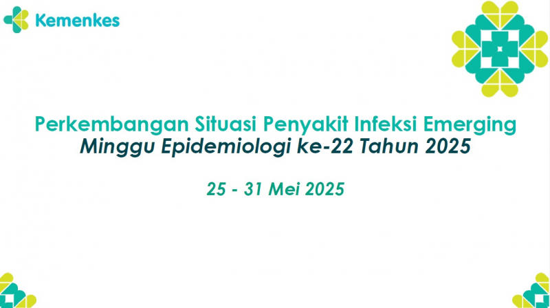 situasi mingguan infem